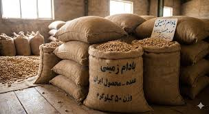 تصویر 2 از بهترین بادام زمینی شور با کیفیت عالی و طعم طبیعی